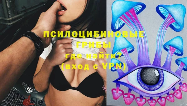винт Сафоново