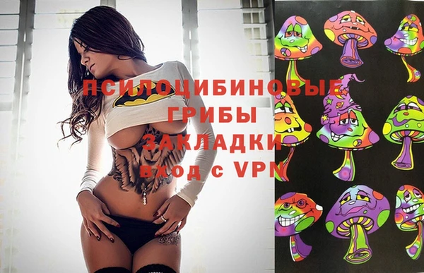 винт Сафоново