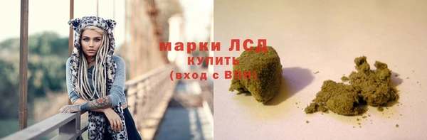 тгк Сатка