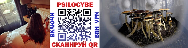 Псилоцибиновые грибы Cubensis  Богородицк 