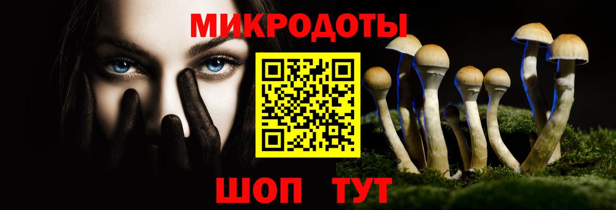 Псилоцибиновые грибы Psilocybe  Вход с VPN  Богородицк 